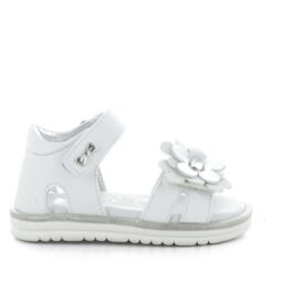 ASSO AG14991 SANDALO BIMBA E RAGAZZA