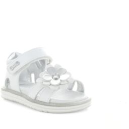 ASSO AG14991 SANDALO BIMBA E RAGAZZA