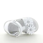 ASSO AG17310 SANDALO BIMBA E RAGAZZA