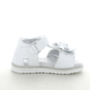 ASSO AG17310 SANDALO BIMBA E RAGAZZA