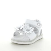 ASSO AG17310 SANDALO BIMBA E RAGAZZA